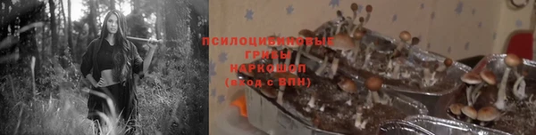 гидропоника Волосово