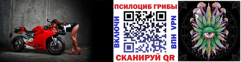 Псилоцибиновые грибы прущие грибы  сколько стоит  Ермолино 